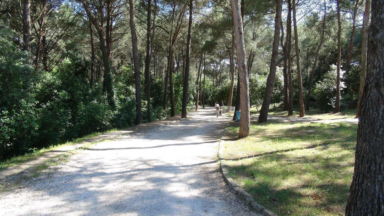 Apartments Amalia Rovinj Extérieur photo